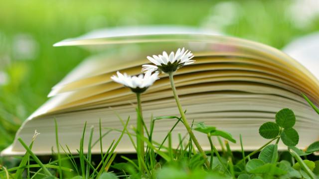 book 2304389 1920