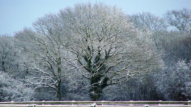 snow 1583676 1920